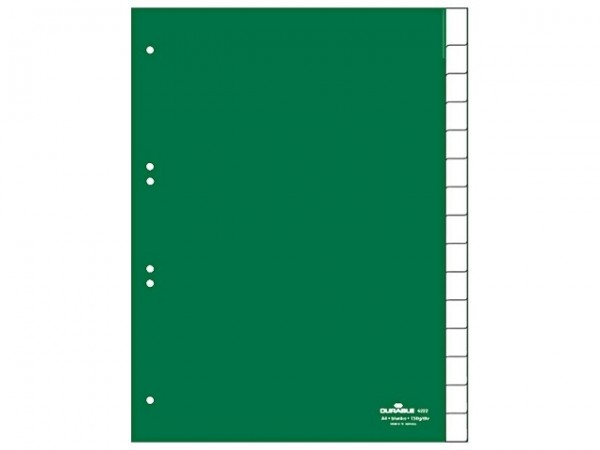 Register A4 blanko 25-teilig Hartfolie grün Beschriftungsschild
