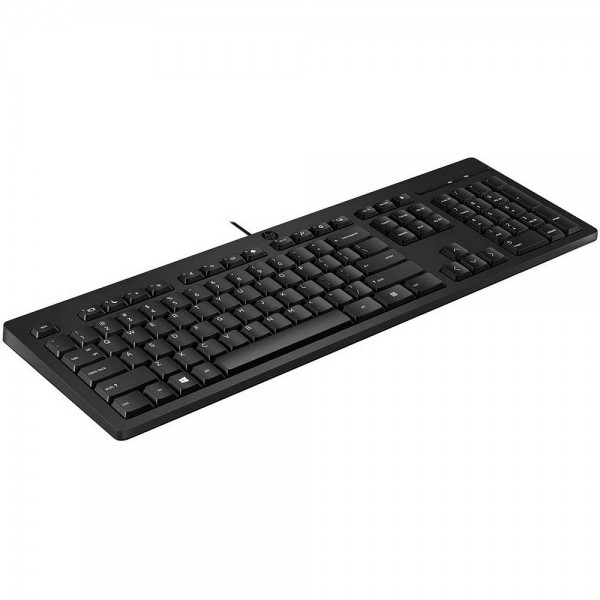 Tastatur HP 125 kabelgebunden schwarz Kabellänge 1,8m