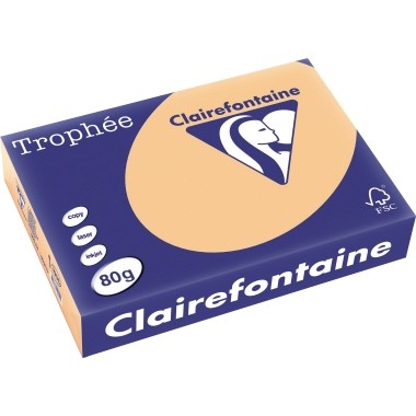 Kopierpap. A4 80g/m² aprikose Clairalfa Trophee f. Inkjet-, Laserdrucker und Kopierer,500 Bl./Pack