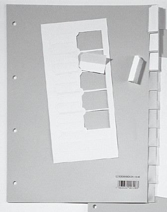 Register A4 blanko 12-teilig PlastiK PP grau mit blanko Schilder zum einschieben