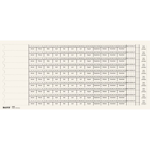 Organisationsstreifen f.Leitz 6160 100 St./Pack Vorderseite Skala 3 (1–53, Mo.–Fr., Jan.–Dez.)