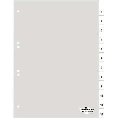 Register A4 1-12, Jan.-Dez., blanko transparent Größe (B x H): 210/225 x 297 mm
