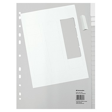 Register A4 blanko 10-teilig Plastik PP grau Einfaches Beschriften und Auswechseln der