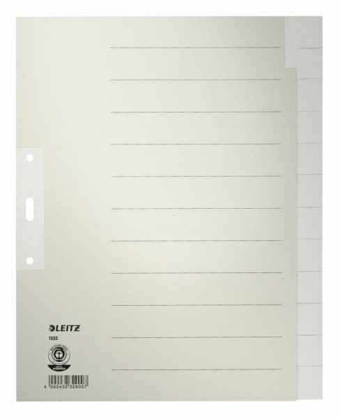 Register A4 blanko 12-teilig Papier Überbreite grau