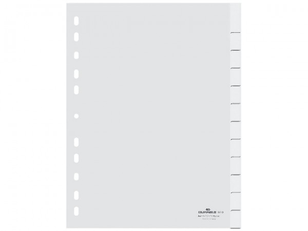 Register A4 blanko 12-teilig Plastik PP weiß mit auswechselbaren Taben